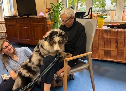 Therapiehund bei ZithaMobil